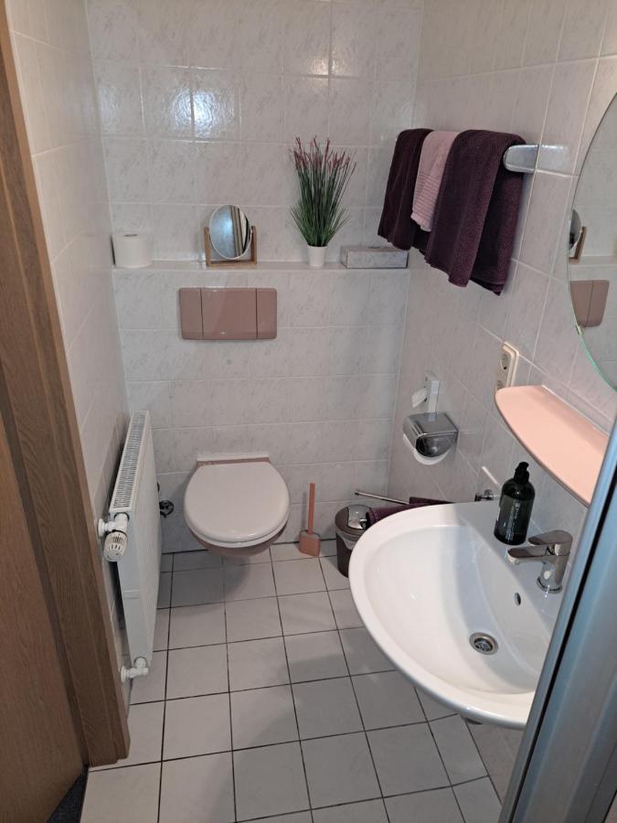 Moselpension Gwosch Bruttig-Fankel Esterno foto